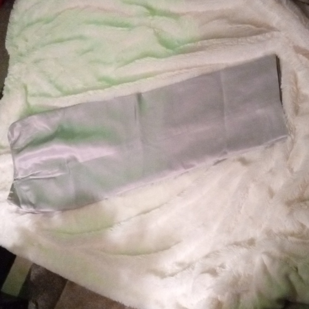 Bice silver pants.  Size 14